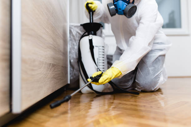 Reliable Jonesboro, LA Pest Control Solutions