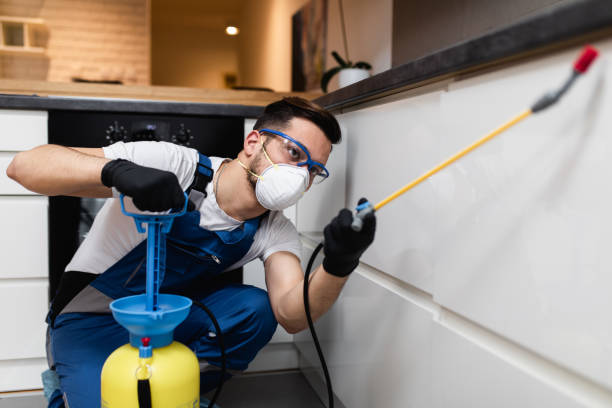 Best Best Pest Control Companies  in Jonesboro, LA