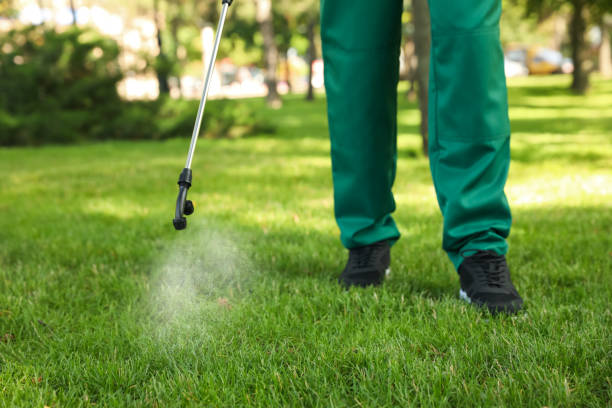 Reliable Jonesboro, LA Pest Control Solutions