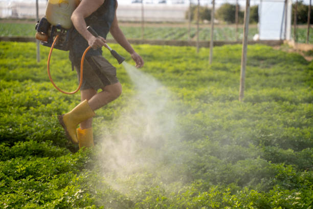 Best Emergency Pest Control  in Jonesboro, LA