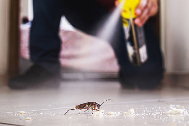 Best Commercial Pest Control Services  in Jonesboro, LA